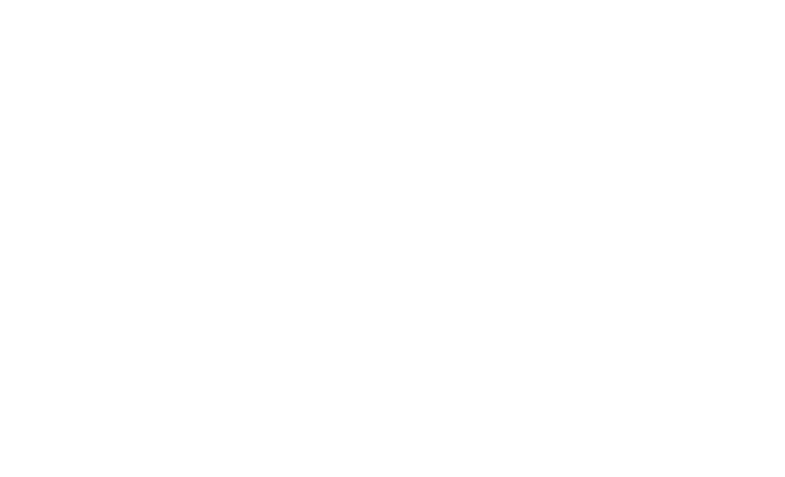 A WordPress Site